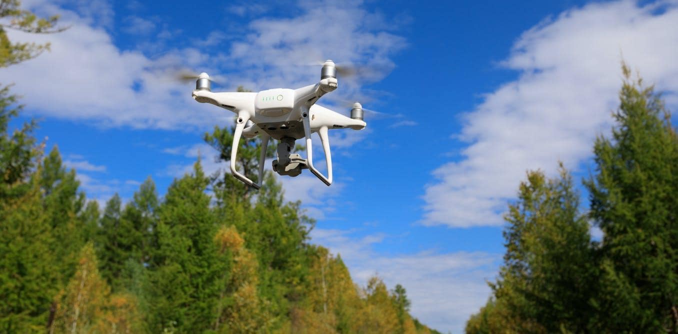 Применение дронов в лесхозе