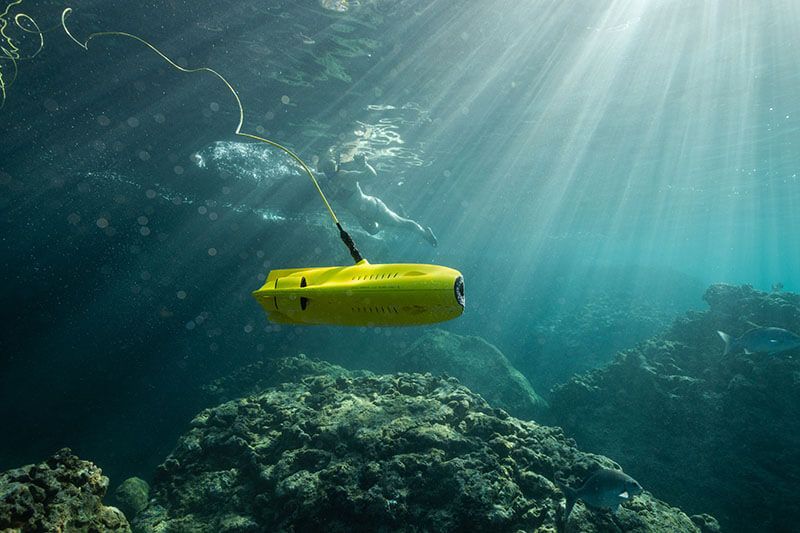 Подводный дрон: специальное средство научных исследований